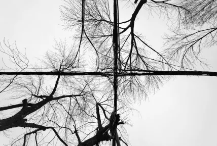 Crystal Kazino Mobilā lietotne